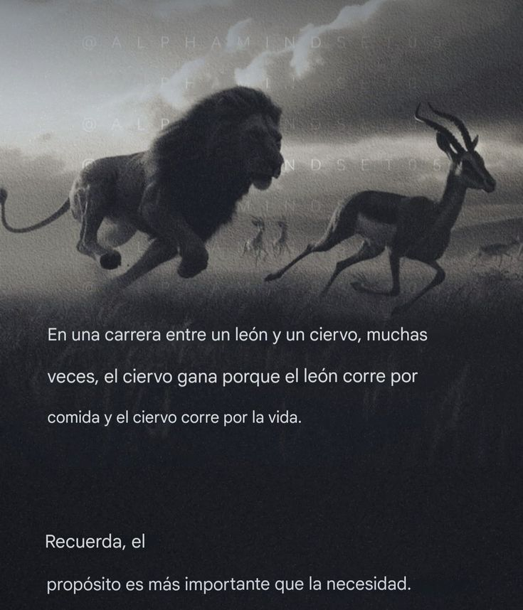 yosoyhonor's tweet photo. https://t.co/r56M8p4ugA