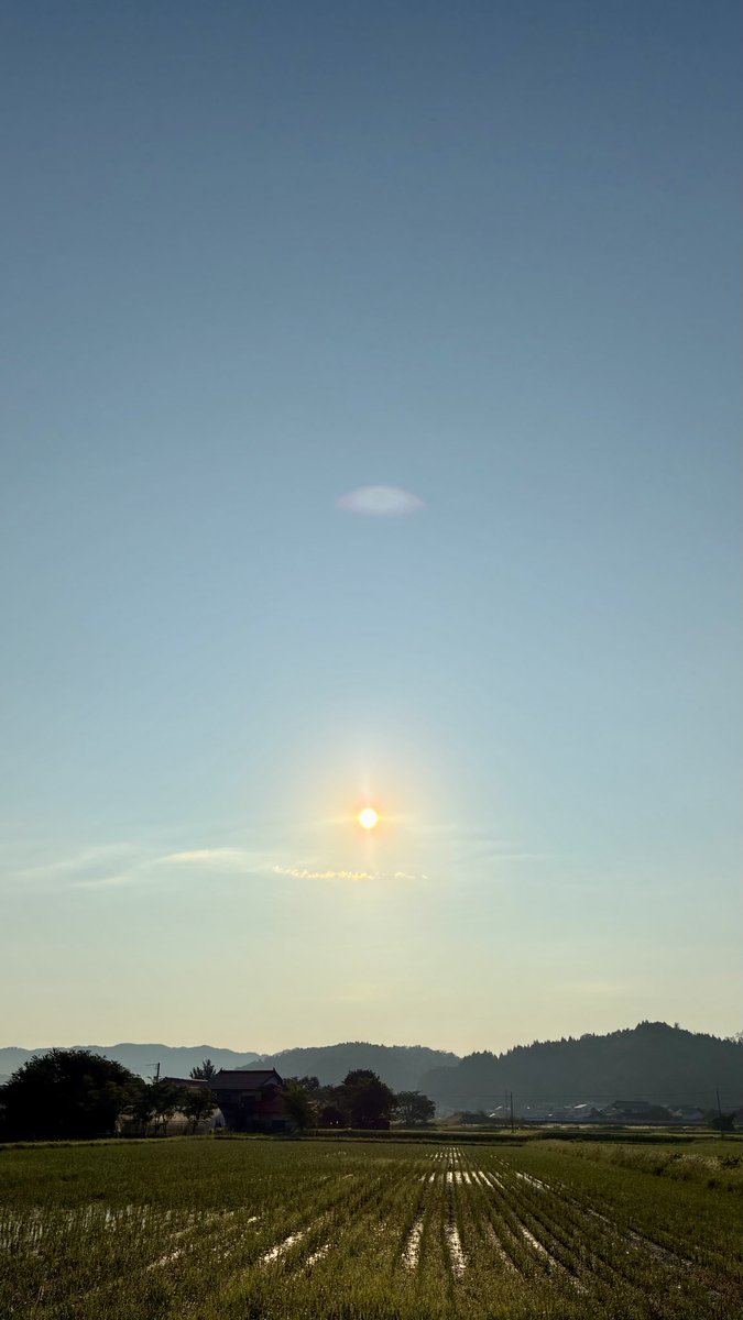 kimura_hisashi's tweet photo. おはようございます
朝 散歩
0621 晴れ

外気は冷たいが勢いある朝日で ちょうど良い さえずりがしつこく爽やか W杯開幕し 朝からメキシコvs南アフリカの後半を観る 最近 朝弱くなったと感じていたので 目覚めにフットボールは ありがたい

良き日を https://t.co/mxe7eaeQeU