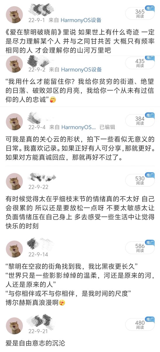 Koi tweet media