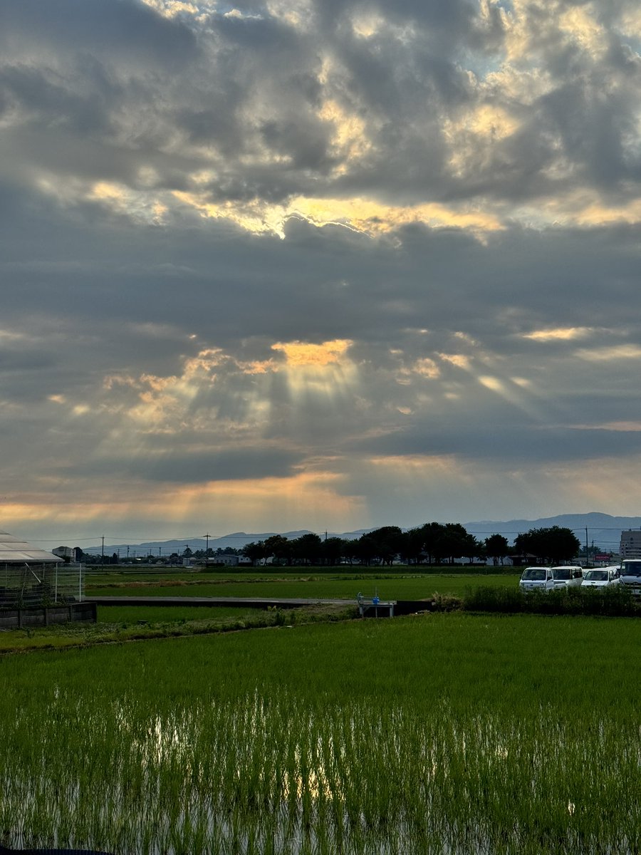 Go_Karman's tweet photo. ジョージョー
朝からきれー！ https://t.co/z8SbQazQzQ
