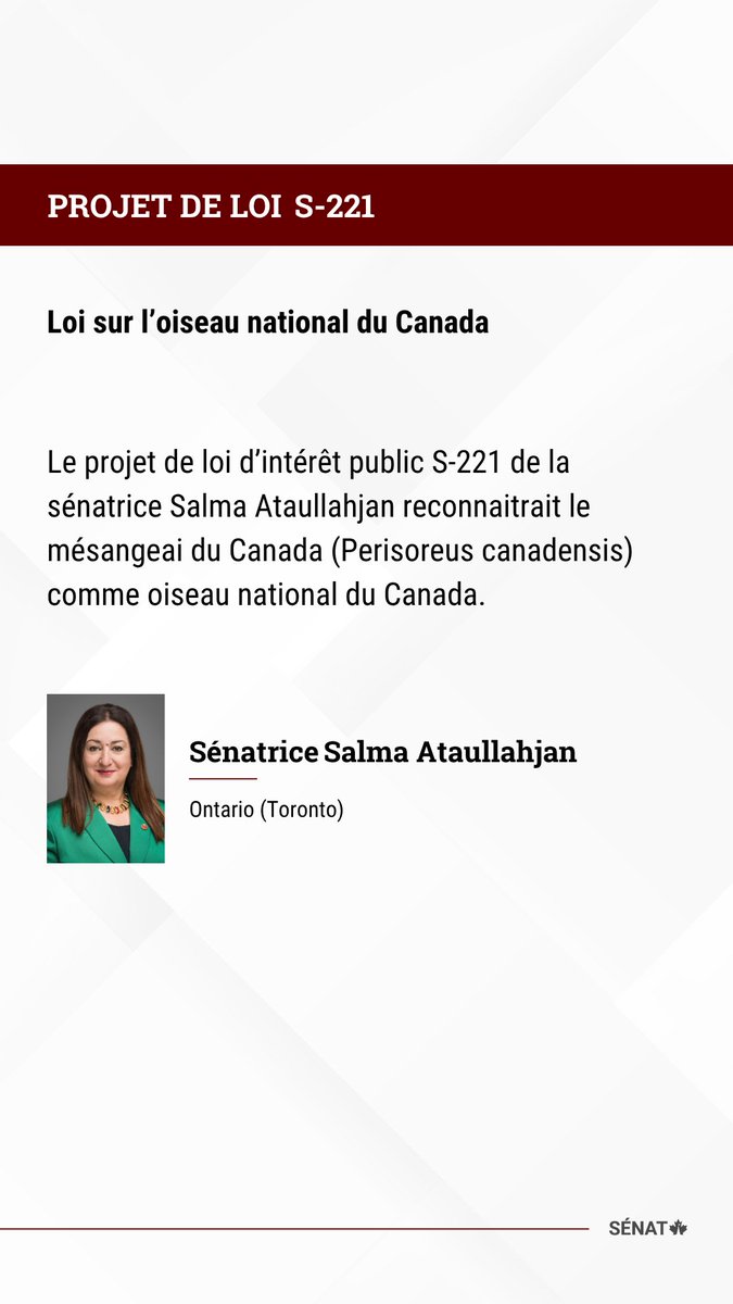 Projet de loi S-221
Loi sur l’oiseau national du Canada
Le projet de loi d’intérêt public S-221 de la sénatrice Salma Ataullahjan reconnaitrait le mésangeai du Canada (Perisoreus canadensis) comme oiseau national du Canada.