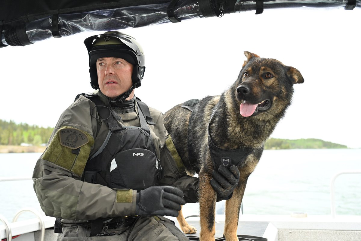 GRCYukon's tweet photo. Communiqué de presse -11 juin 2026 - Le chien policier Duke prend sa retraite : un nouveau chien prend la relève https://t.co/HzB2AdNNeH https://t.co/reVg7wBLwg