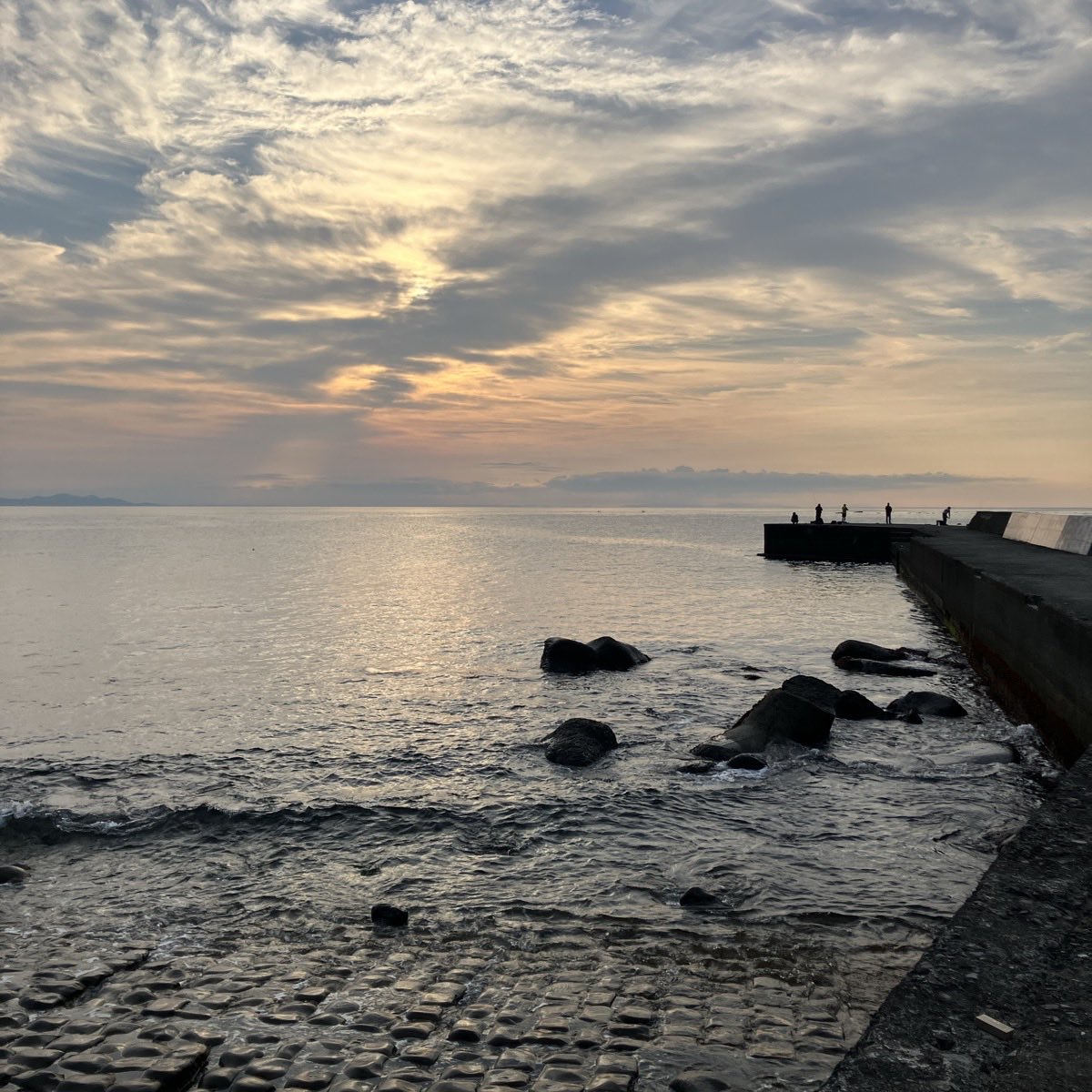 komler4's tweet photo. イカ○   青物× https://t.co/EngFXPZQoZ