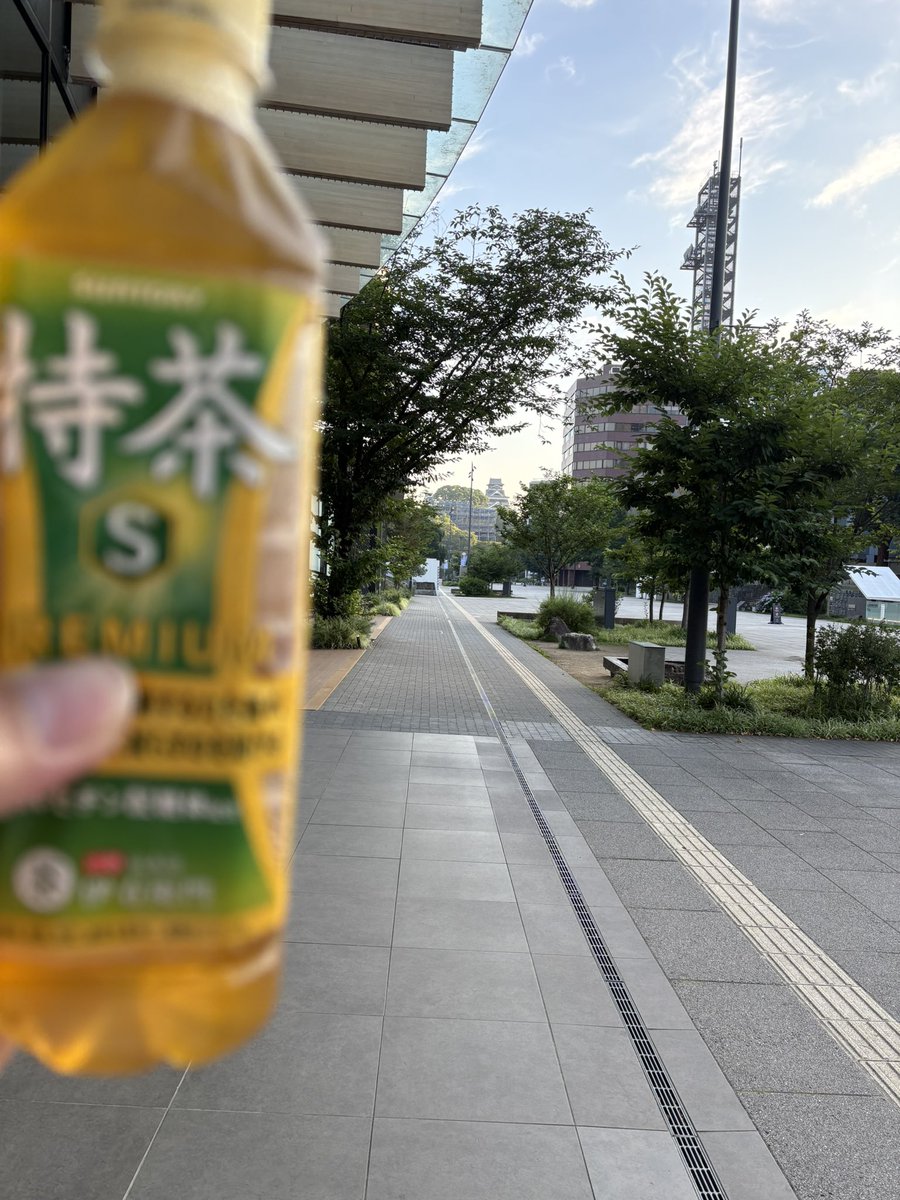 Hide2daime's tweet photo. 出張中
 #ウォーキングは仕事 https://t.co/IkJnjAnyDM