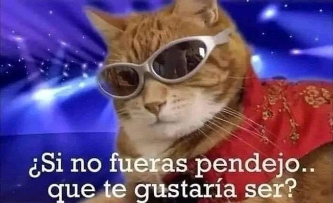 AldoAlejandroMR's tweet photo. @cesarsc87 @ketolol_ Claro, y con tu pnd%ja idea de cortar procesos, cambiar de DT cada año, y de decir "llo no selevro liguiyas, deven de canpionar", como si el resto si estuvieramos celebrando liguillas, así vamos a salir campeones cada año, verdad? Pinche todo imbécil, menos mal no eres directivo. https://t.co/V7AjEvlnEB