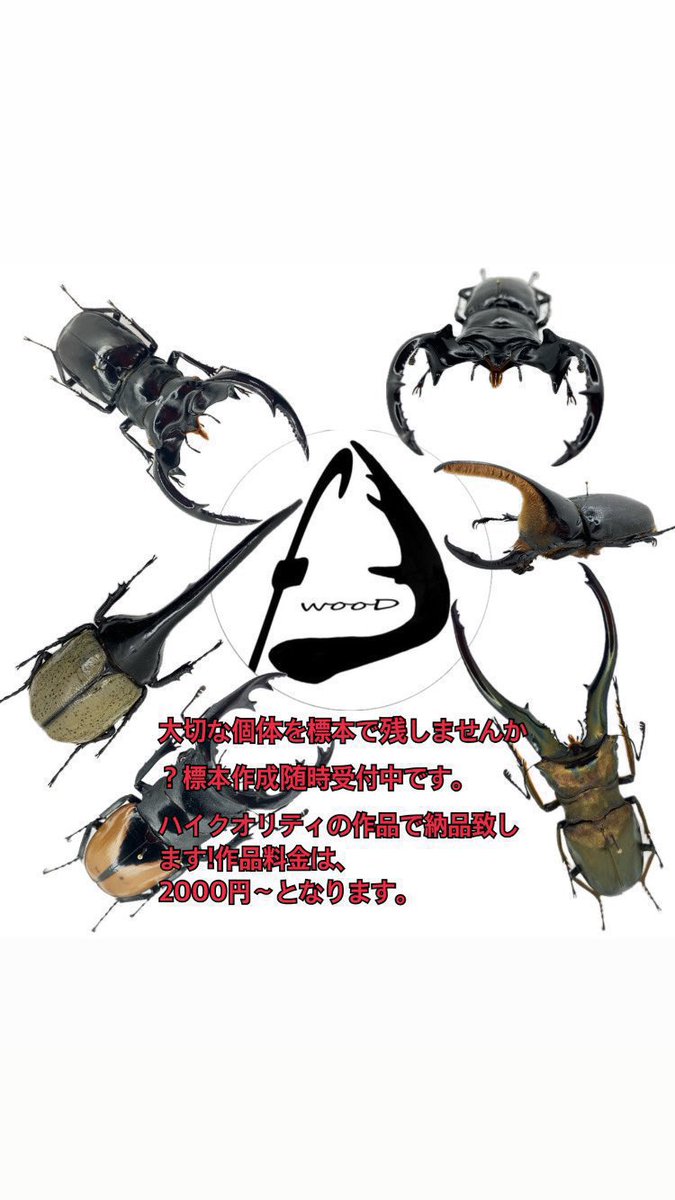 hiro0098's tweet photo. Instagramのフォロワーさん、20000人突破致しました^_^
今後ともよろしくお願い申し上げます。

日々標本の作品など、投稿してます^_^
是非見てみてください‼️

気軽にフォローしてね^_^

https://t.co/SmGckIVsPW https://t.co/eLdFMIbGwo