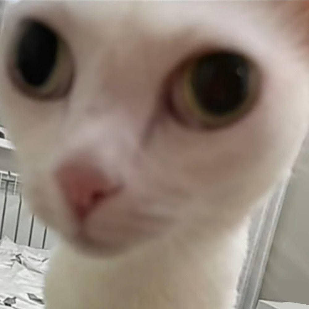 𝐘𝐨𝐬𝐬⁷ | ᵇᵗˢ ⊙⊝⊜ tweet media