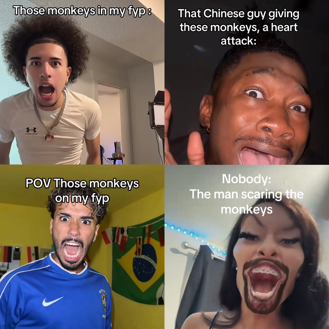 juiceknuckles's tweet photo. The Scared Monkey

The monkey being scared by a Chinese man singing is going super viral!

3m+ likes 36m views! 

https://t.co/NGKWajuohE

https://t.co/choqR5ccOZ

Over 30k remakes of the video https://t.co/U5we2xEMIz