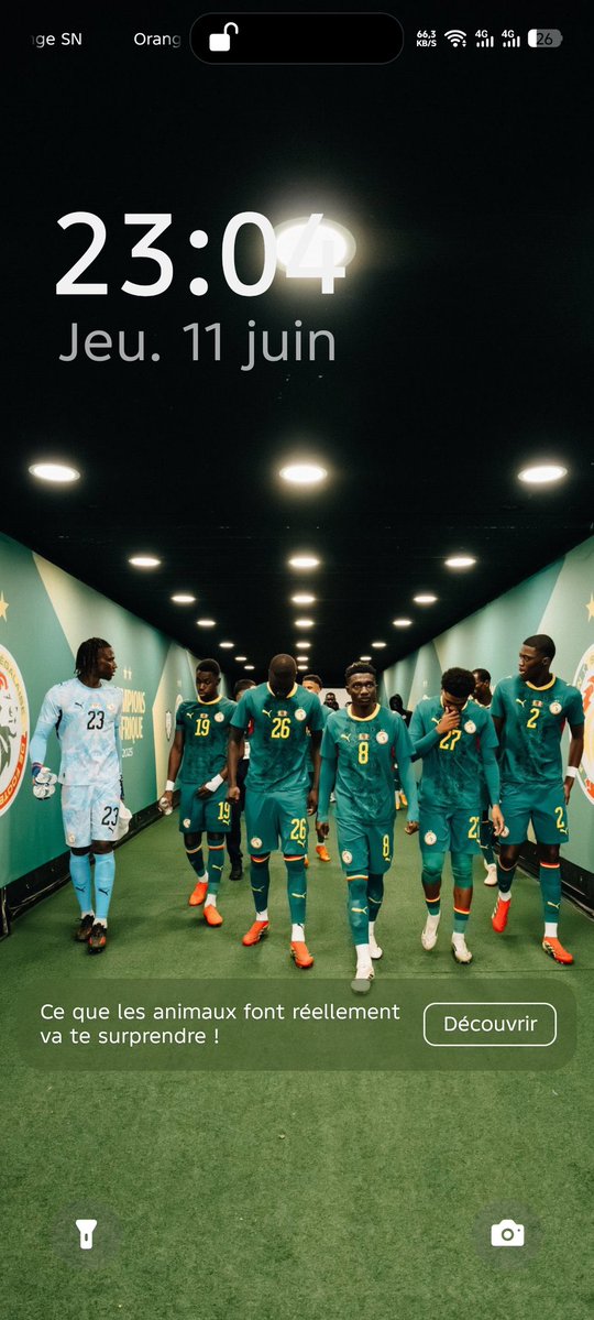 Pa_usmane's tweet photo. @wiz_b_king Mode coupe du monde activé ✅🇸🇳❤️ https://t.co/08hHMQ3VQi