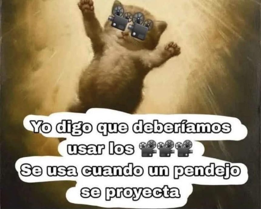 T⁴ tweet media