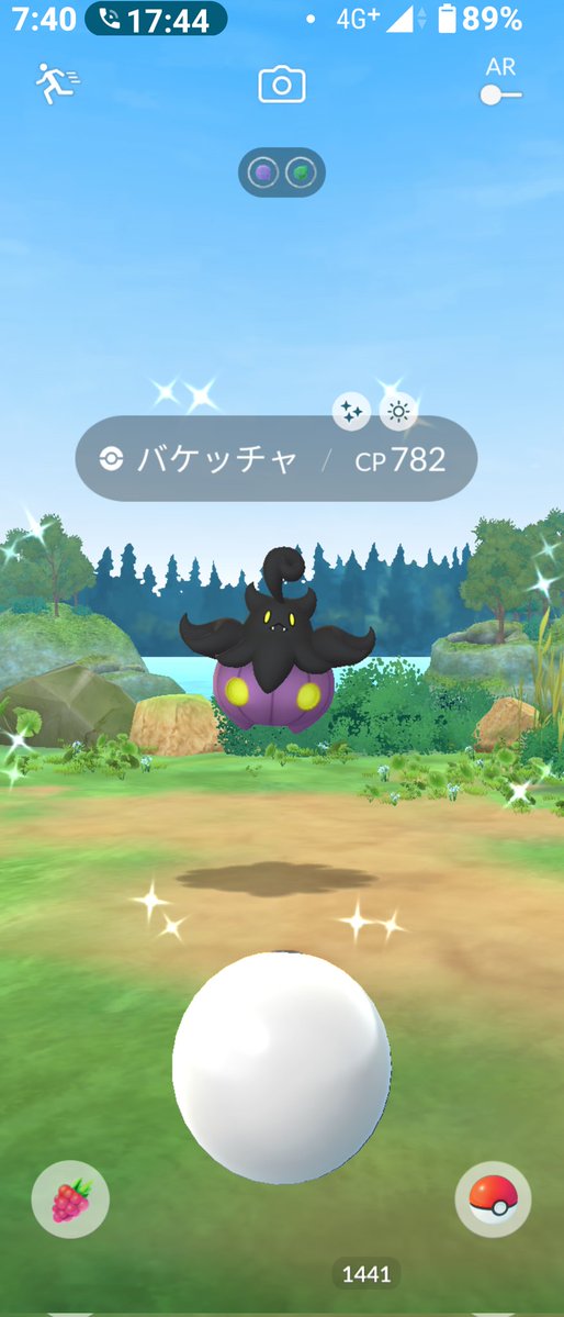 m0c4pgg's tweet photo. #ポケモンGO　野生から、バケッチャの色違いが来てくれました。(*^^*) https://t.co/30Yj7gq99x