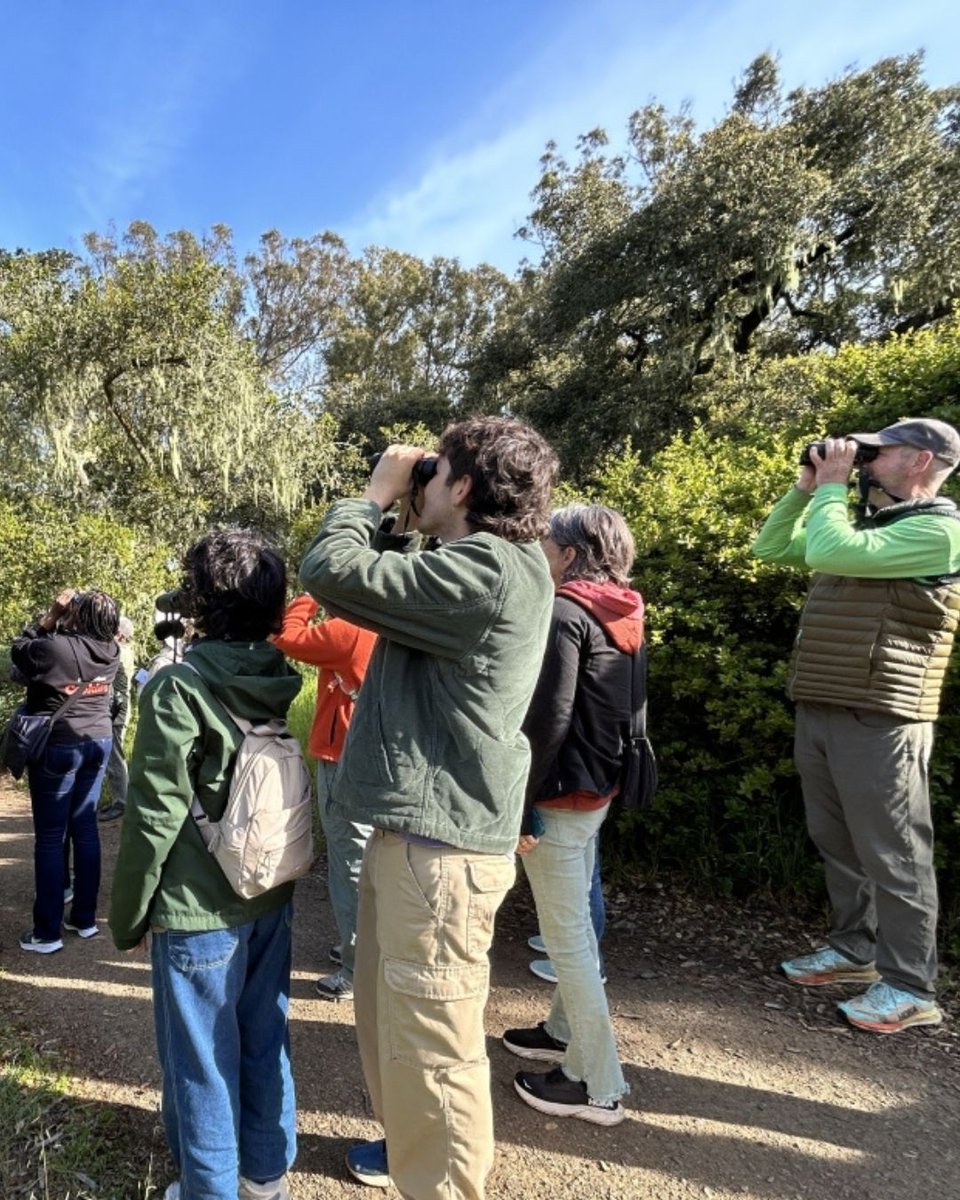 Gardens of Golden Gate Park tweet media
