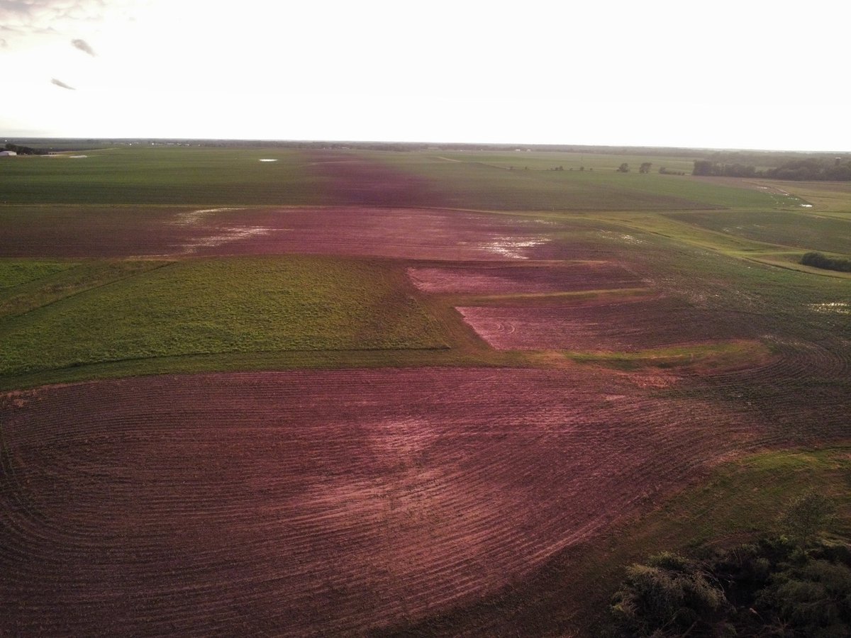 NickKrasz_Wx's tweet photo. The Washburn, Illinois tornado became more narrow and intensified at the end of its life. It completely scoured parts of fields, caused severe tree damage, and completely destroyed a solar panel array. Very intense tornado. This was along IL-89. https://t.co/JMCaQHBcAM