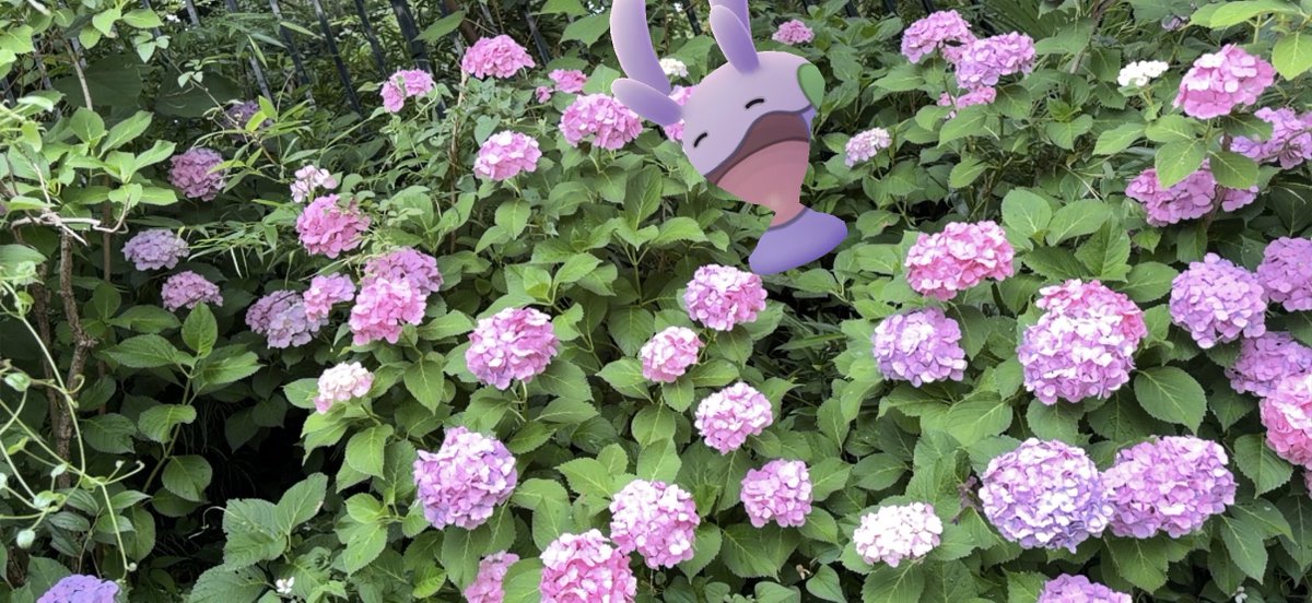 Stoneman573's tweet photo. 東京都北区王子・飛鳥山公園
#Pokémon
#GOsnapshot
#GOsnapshotCelebration https://t.co/gIt4Oo6x22
