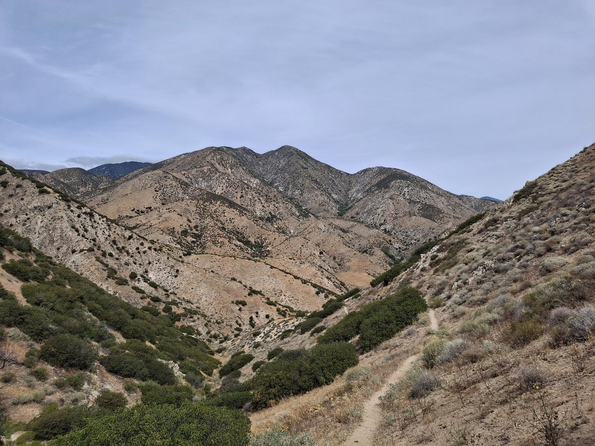 gabfrab's tweet photo. trail never ends https://t.co/dopVhC8Q5q
