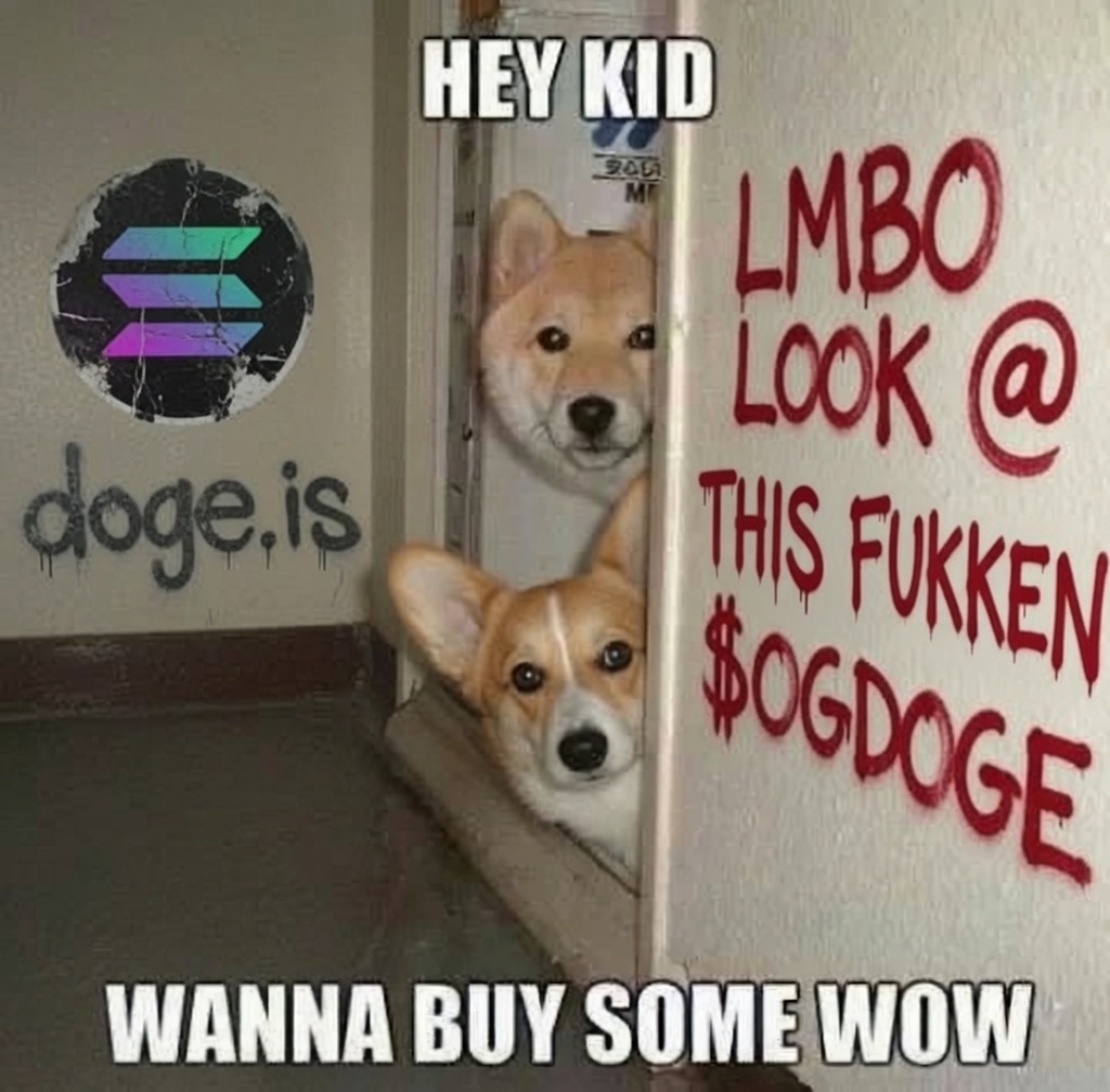 Ken0_369's tweet photo. The one that’s launched and led by the guy that started it all

A random Reddit post in 2010 about a random dog by a random guy created meme culture as we know it

That dog was Kabosu
That man was @realjohnmonarch 
That post was -

LMBO LOOK @ THIS FUKKEN DOGE

wow such solana:utLyQQCPvjuCc6zeaXdsFeEC3JNdxKS3vxaZWoGdoge