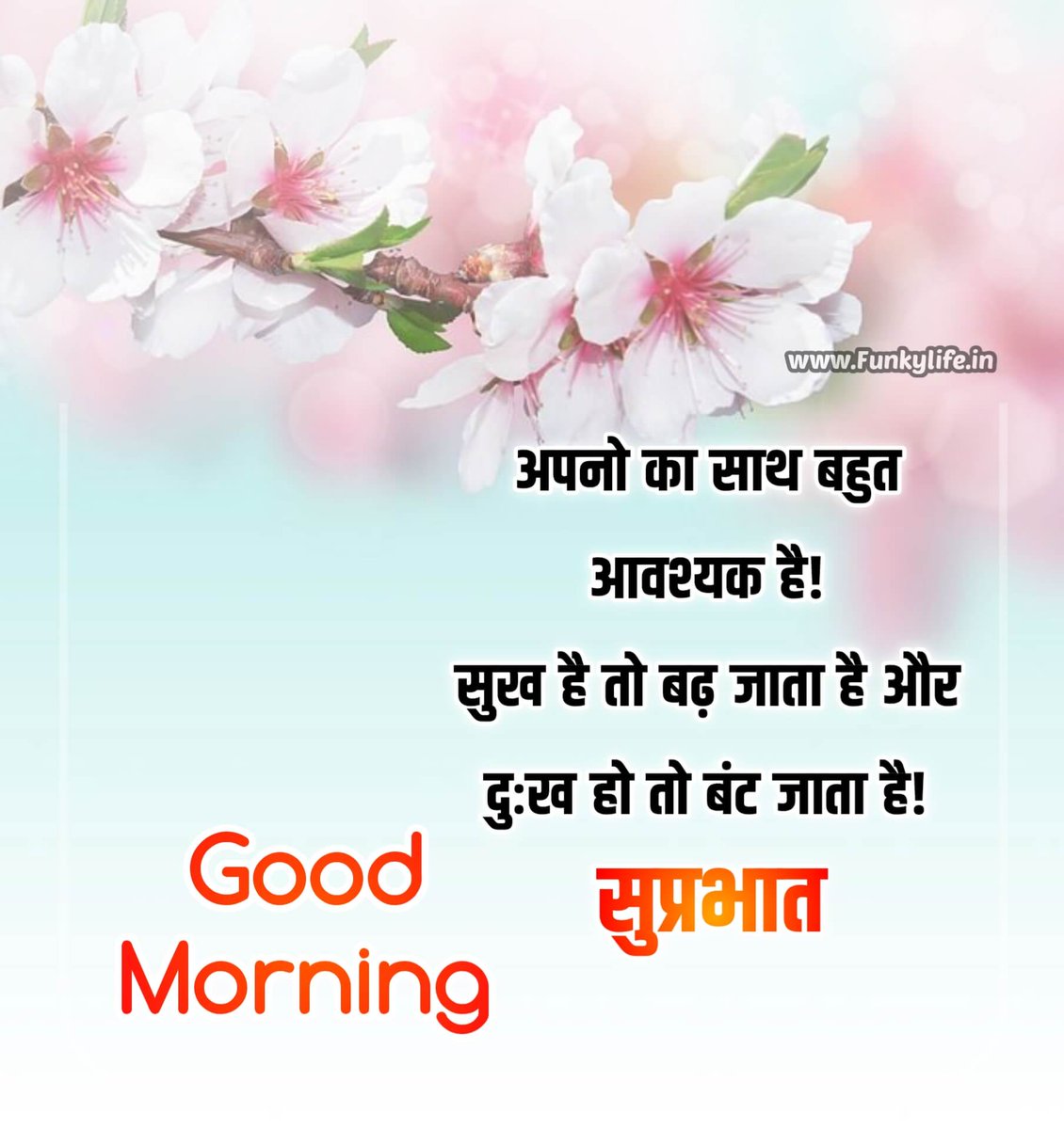 jatinarya123's tweet photo. https://t.co/OW4oxbInff