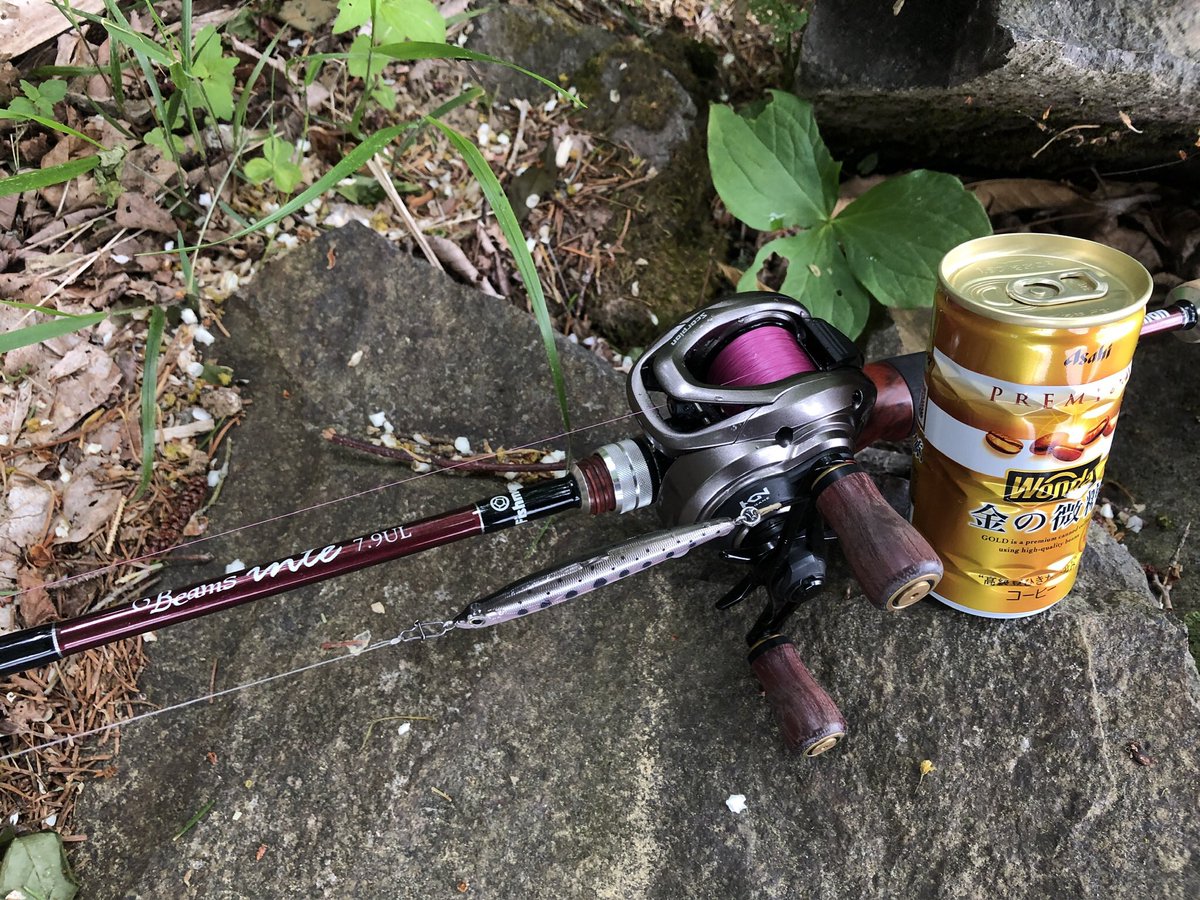 zisakukebari59's tweet photo. 朝イチはボイルしている所に小型のジグミノーを打ち込んで良型のレインボー♪たまに休憩しつつ歩きながら探ってると可愛い金アメ追加😄早めの昼食とって阿寒川で遊んで来ます✨
#北海道 #釣り #阿寒湖 #ベイトフィネス #Fishman #Beams #inte79UL #レインボートラウト #アメマス https://t.co/OcT4I9YyIo