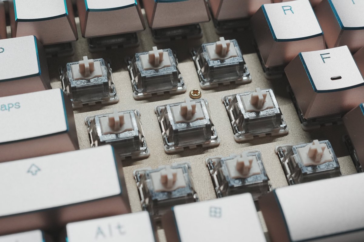 1kakka11's tweet photo. 🟨
PCBA：Wooting 60HE V2 ANSI
Plate：Brass Sandblasted
Stabilizer：Knight Stabilizer V4
Switch：OwLab Ti HE
Keycaps：HiUM Metal keycaps
Case：OwLab × Wooting OW60

⬛️
PCBA：Wooting 60HE V2 ANSI
Plate：Aluminum Anodized Black
Stabilizer：Typeplus x YIKB screw-in
Switch：Wooting TenZ TikkenZ
Keycaps：HiUM Metal keycaps
Case：OwLab × Wooting OW60