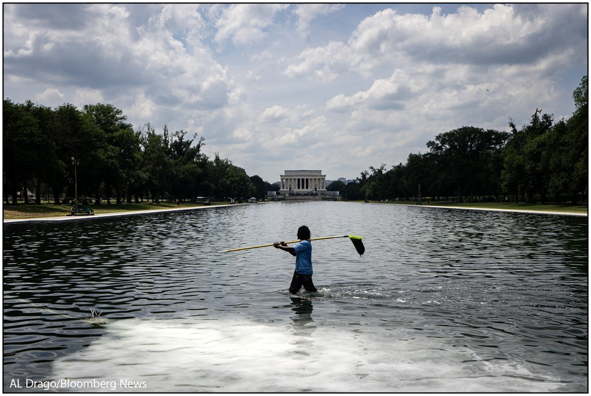 Al_Drago's tweet photo. A worker in the Lincoln Memorial Reflecting Pool after the pool was painted "American Flag Blue" on Thursday, June 11, 2026. https://t.co/k8WeIMbjlf