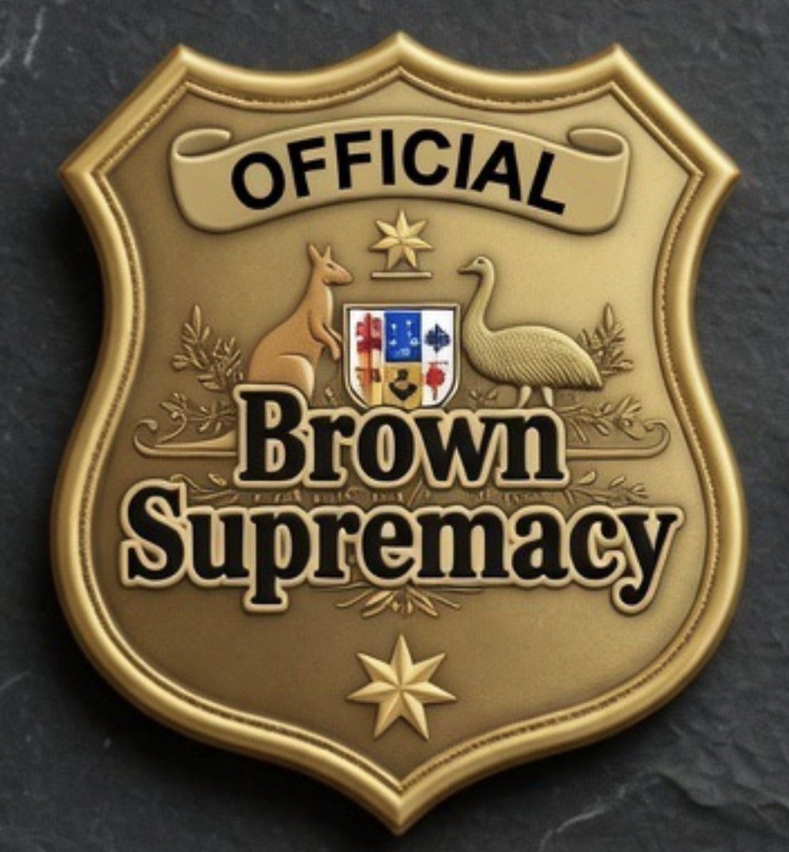 BrotherRicky's tweet photo. @RichardMarlesMP @SenatorWong @JohnHealey_MP @YvetteCooperMP And I see you are getting your #BrownSupremacist policies from Starmer. 
You can shove your #Anglophobia.  We are voting @OneNationAus https://t.co/jIJ6a7esjK