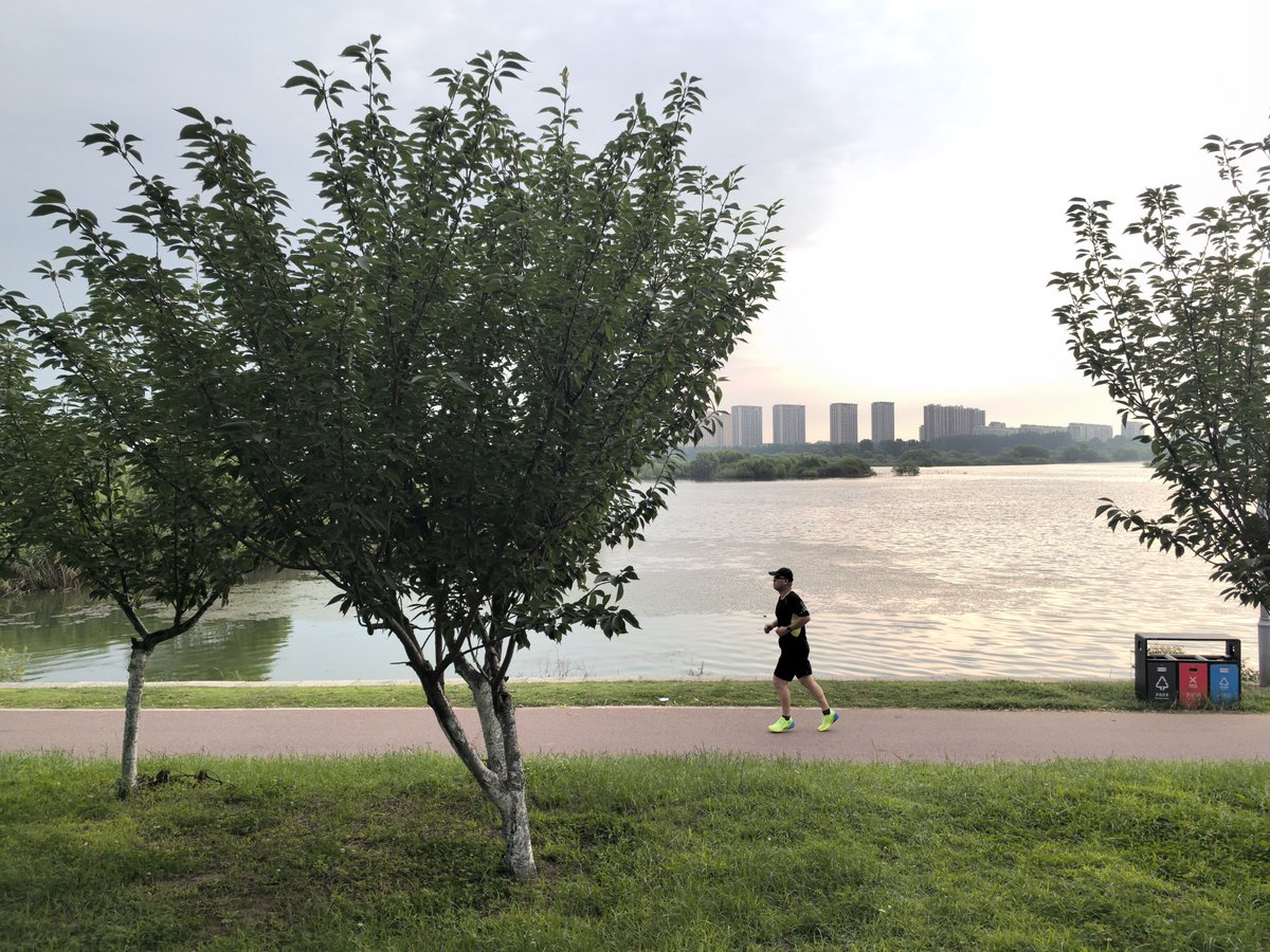 yimeng0539's tweet photo. 天气暖和了,有约跑的吗？
每天早晨六点开始半小时、五公里、心率140左右
贵在坚持，一起看清晨最美的风景 https://t.co/MWRjJ7oxyX