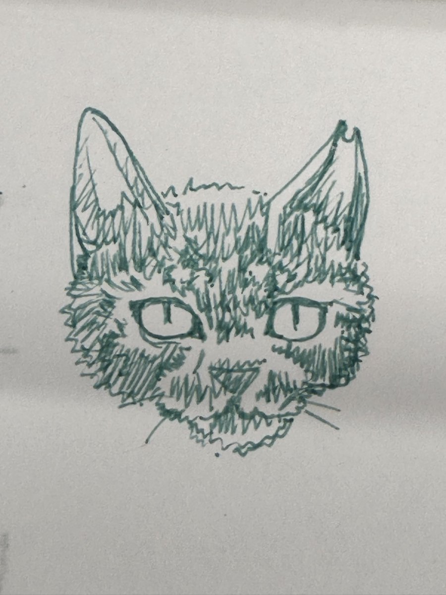 9spider's tweet photo. ガシャガシャな落書きですが、昨日の猫くんのお出迎えはこんな顔、前の日よりは怒ってない…と思う… https://t.co/0Jb3QZnNYM