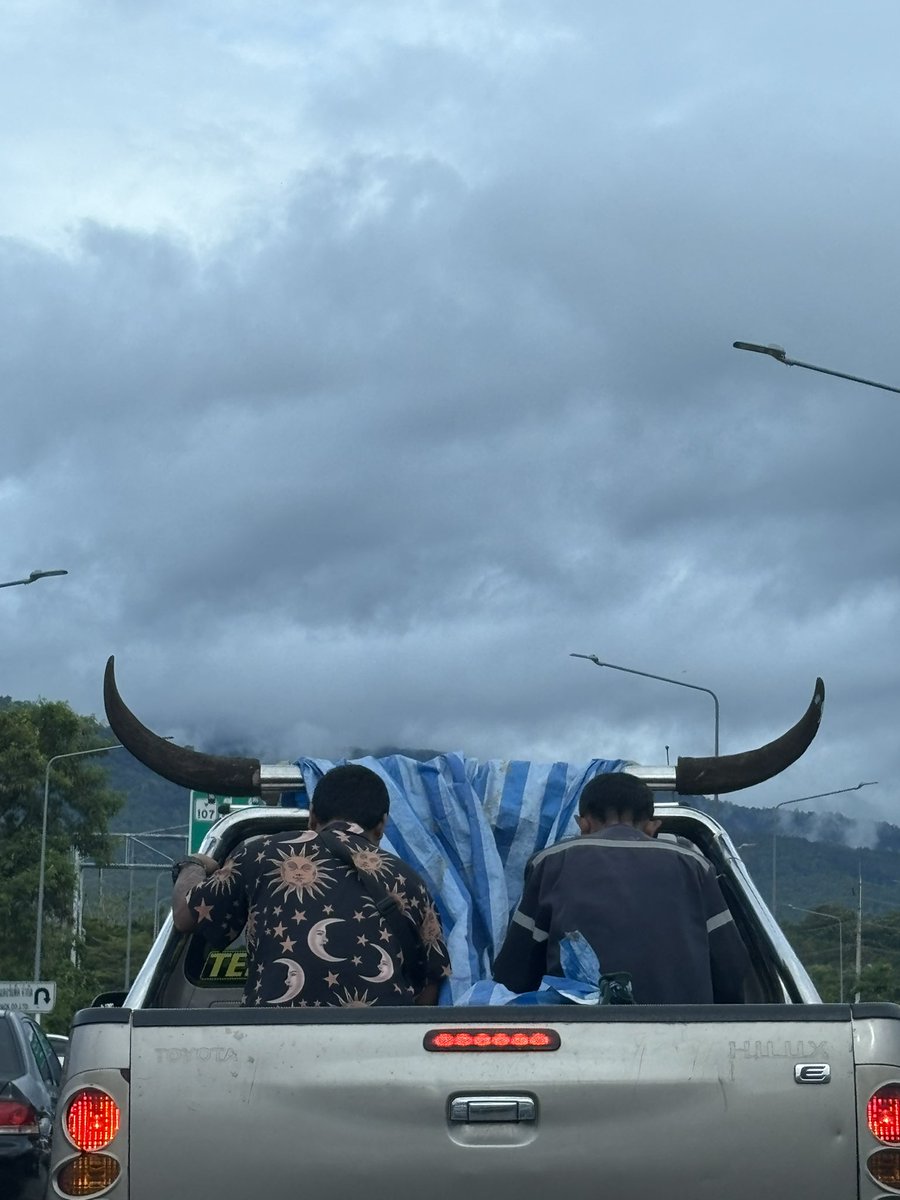 mommew's tweet photo. โอ้... 🐃 https://t.co/kQOCpZKQl6