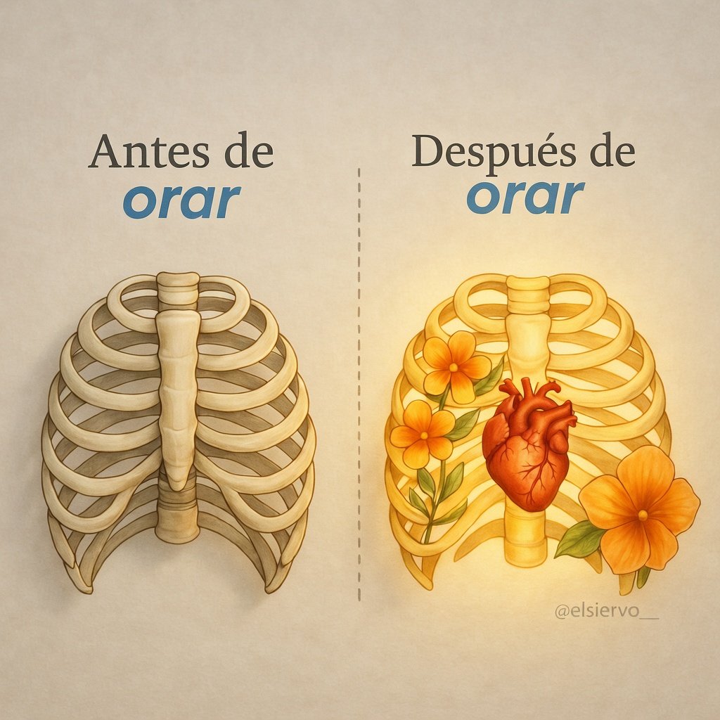 elsiervo__'s tweet photo. https://t.co/PEXFT6R46I