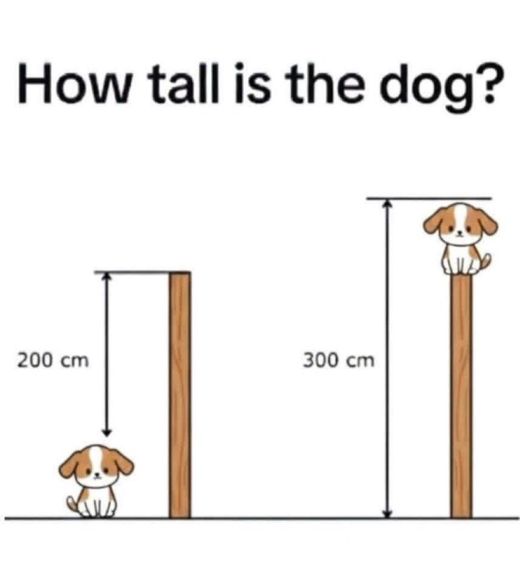 Queen_primis's tweet photo. This looks easy… until you actually try to solve it. 😂 How tall is the dog? https://t.co/syxSxzi7vU