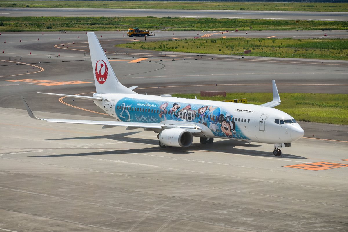 iFormulaX3's tweet photo. 2026.6.12
JAL3106 CTS✈︎NGO
B737-846 (JA339J) JAL Jubilee Express

就航して8日目、東京ディズニーシー25周年記念塗装機がセントレアに初飛来しました。 https://t.co/cCpKT7gsR2