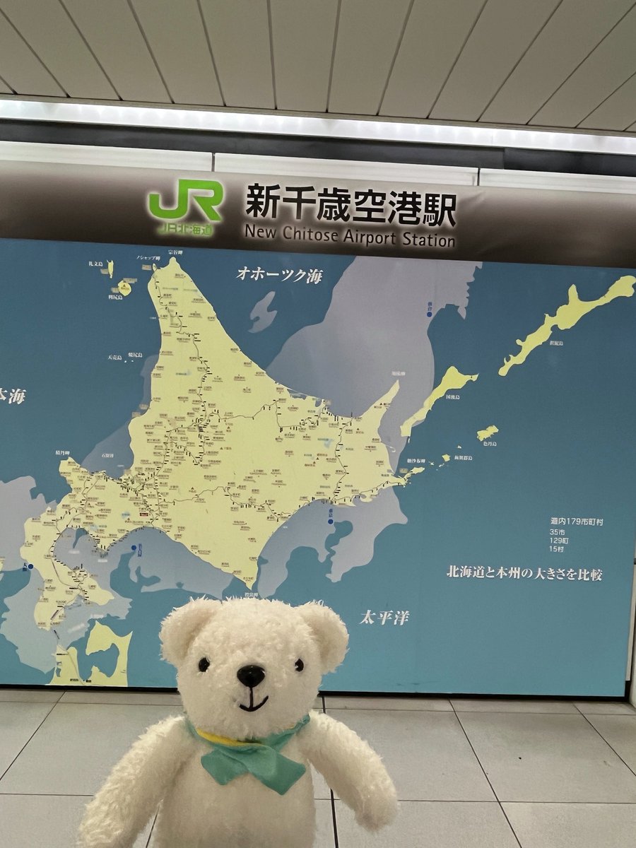 airdo_hokkaido's tweet photo. ただいま… • ᴥ • https://t.co/NOuayhvHwb