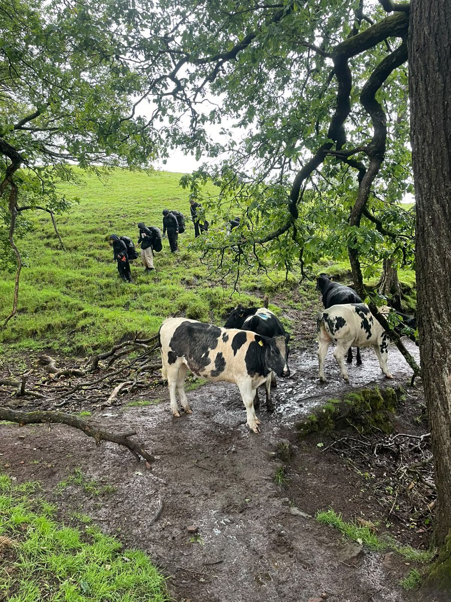 ChallneyDofE's tweet photo. A very wet and windy day in the Peaks yesterday! ☔️ 🥾 

Today Team Silver are ready to tackle Day 2 of their Practice expedition 😃 https://t.co/KHmRL4g7WK