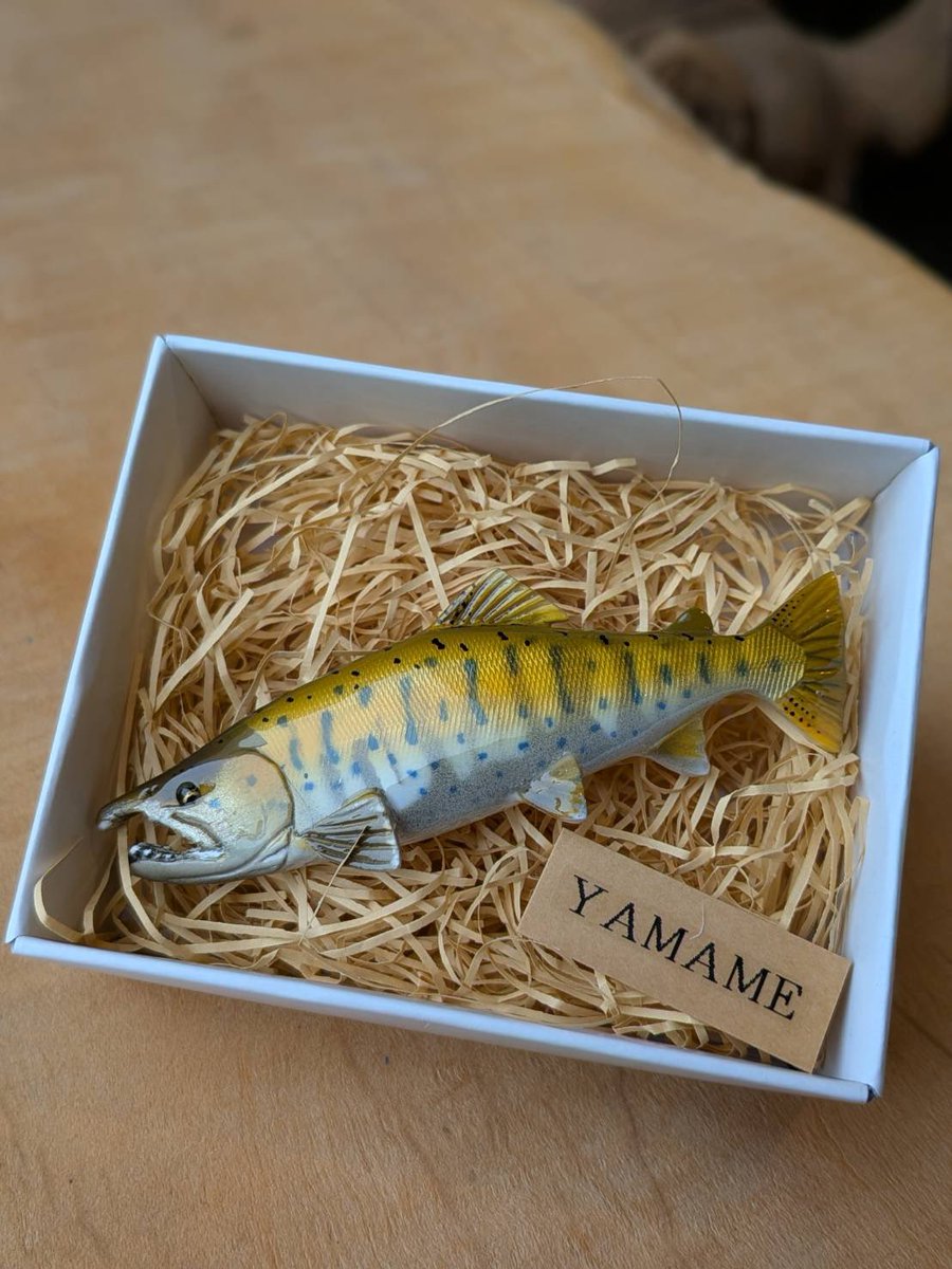 AtV1598786's tweet photo. ハンドメイド
ウッドブローチ
ササキ屋から入荷しました。
山女魚
これからブラウンやジャガーに岩魚やレイクなど来ます。
次はいつか？
この機会に是非に https://t.co/MdNueJEhko