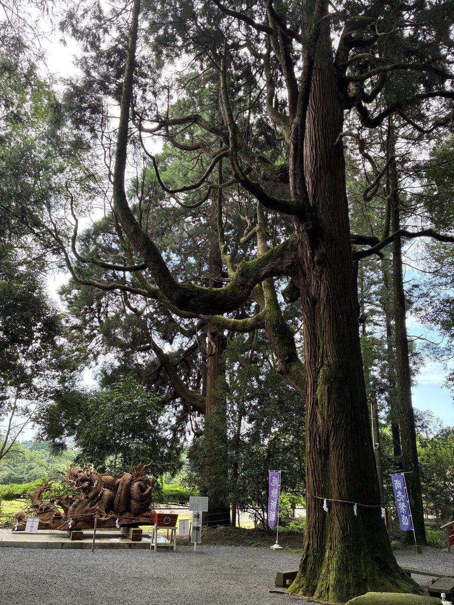 sakurafoods1888's tweet photo. 東霧島神社にお詣り
#潜入捜査 #東霧島神社 #神石 
#幸招大楠
#樹齢千年 #ご神木 #龍 #鬼磐階段 
#竜王神水 #神社 #参拝 #御朱印 
#パワースポット
#GReeeeN #GRe4NBOYS #GRCReW 
#宮崎県 #都城市 #おいでよ宮崎 https://t.co/7XRMNCq4MU