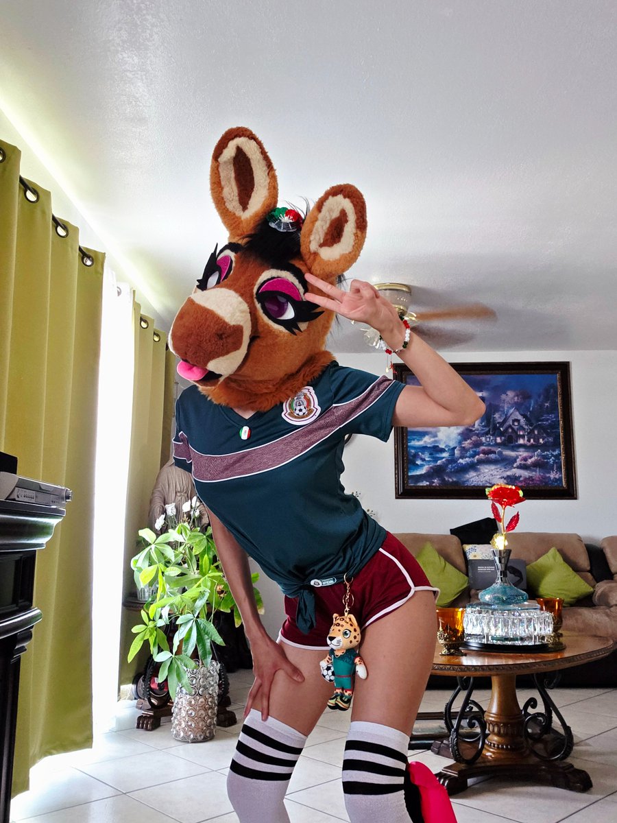 TequilaBurrita's tweet photo. ⚽️ World Cup Mexican burrita 🇲🇽 https://t.co/fR6oGpNlIA