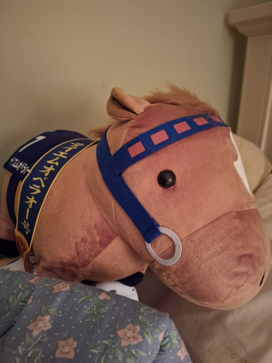 mintchokuma's tweet photo. big tm opera o came home ❤️ https://t.co/XNkmjHG4Mq