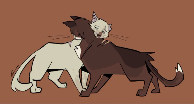 not-so-temporary truce #warriorcats
