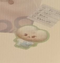NCTDAOYlNG's tweet photo. they gave dogungbbang a shirt 🍞👕 https://t.co/N5mBlxurA1