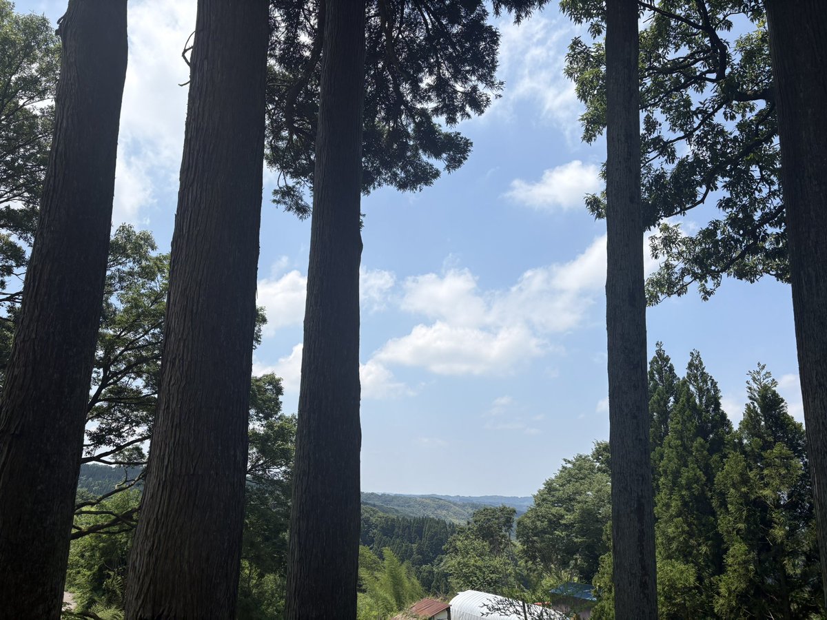 __nonez's tweet photo. 山！ https://t.co/Vgte3D0ydC