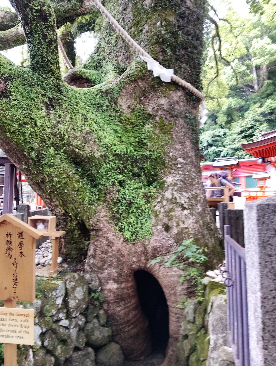 omatsu1616's tweet photo. この中に入ったら、神秘てきでした✨✨🍀🍀🍀 https://t.co/5rlWz65c8Z