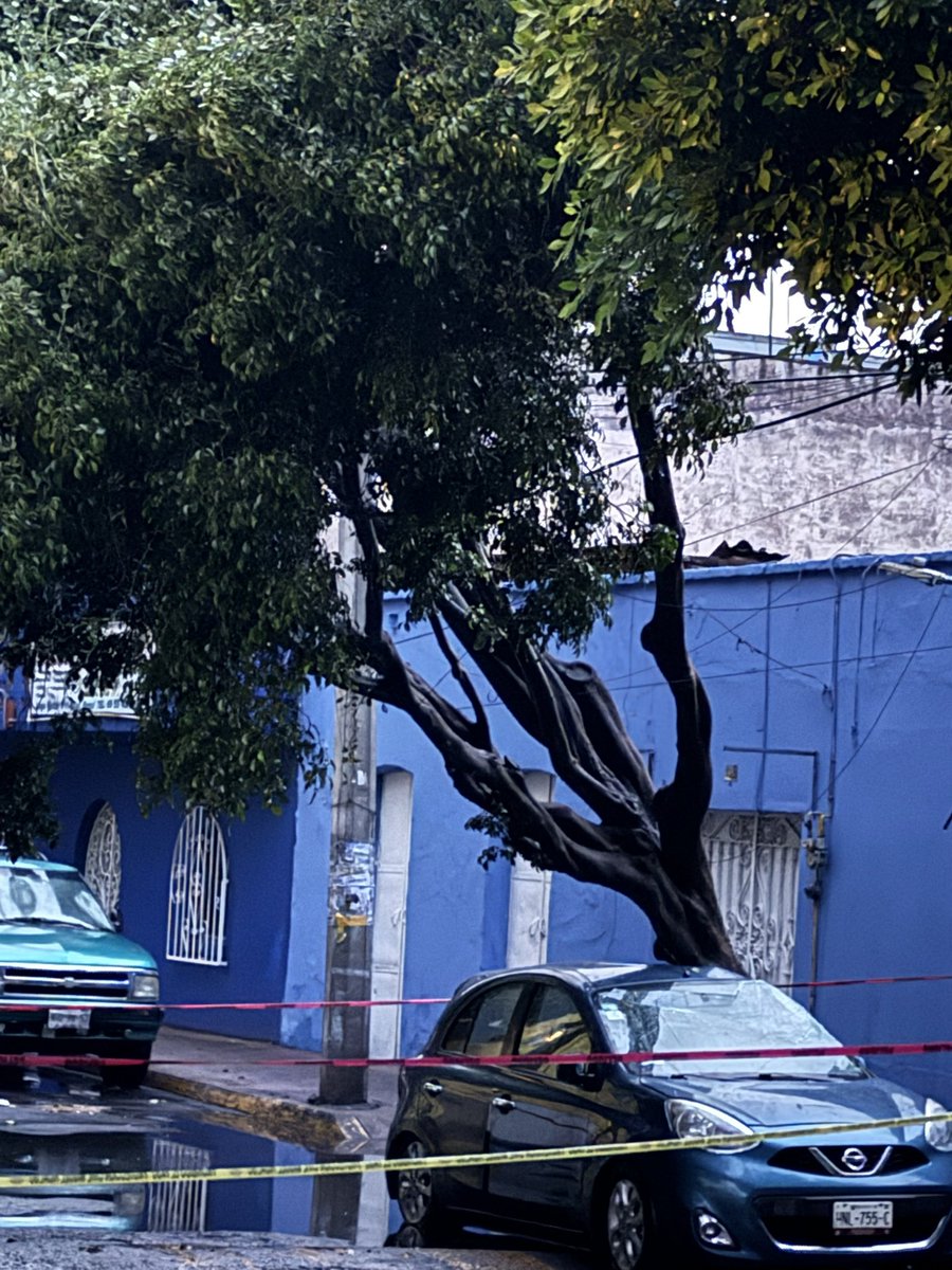 Bel1904's tweet photo. Oye @mauriciotabe, ¿le podrías avisar a tu equipo que las pensiles también están en Miguel Hidalgo? Igual y necesitan la ubicación exacta, porque como no son de la zona, chance y no ubican bien dónde hay desastres. Si necesitas un croquis, avísame. @Bomberos_CDMX https://t.co/3iPEvhzSh0