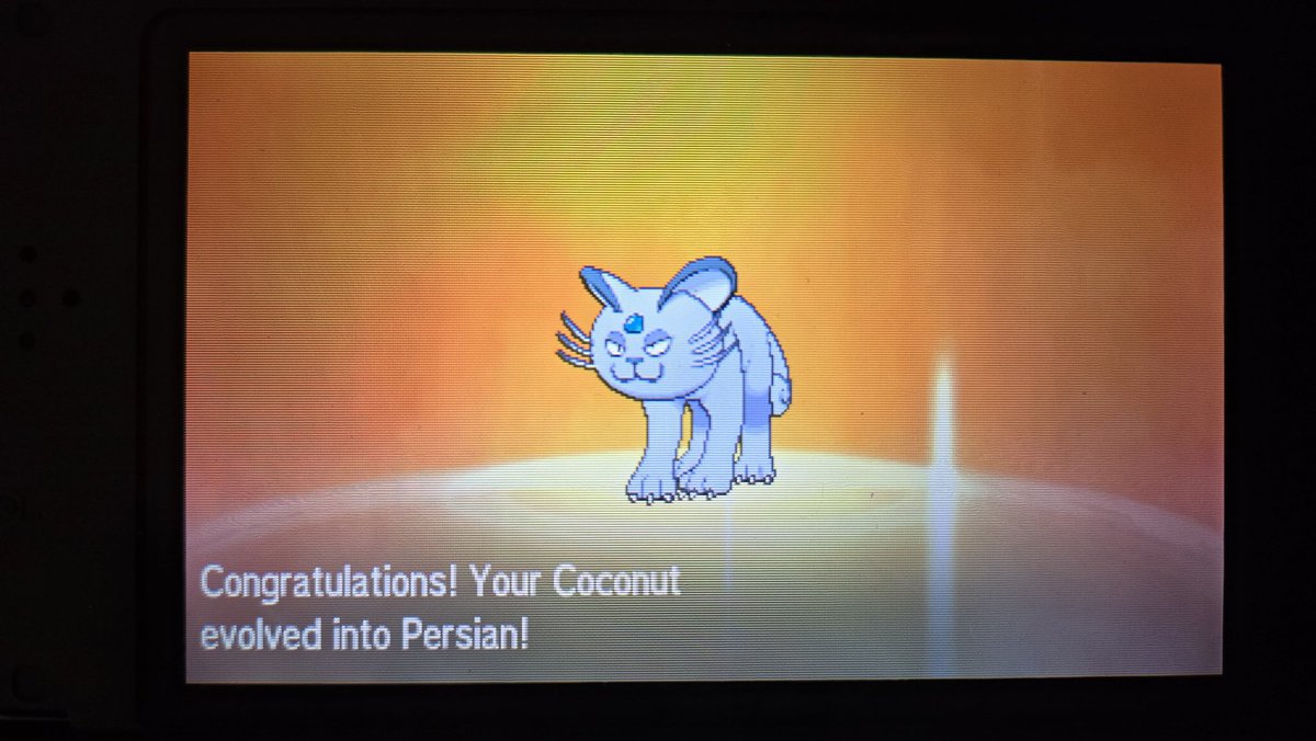 AvKProphet's tweet photo. Also Coconut evolved into his final form! He now looks like he ate a coconut https://t.co/rGi9mydWSG