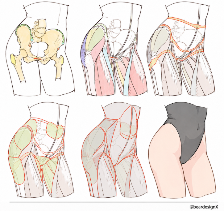 BearDesignX's tweet photo. all layers of the leg https://t.co/StfjLqbXdy