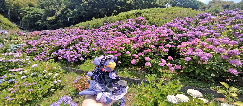 makaronneko0822 tweet picture