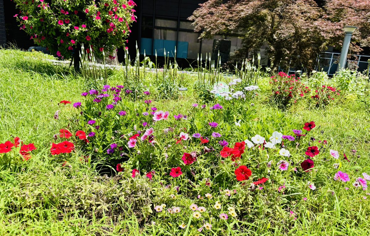 Wo1fram_t's tweet photo. おはようございます☀️
お昼休憩です。
金曜日、なかなか多忙でした。
早く帰れるように頑張ろ💪

午後もよろしくお願いします🍀*゜

#熊本市一人一花運動 https://t.co/zNfNEecKWs