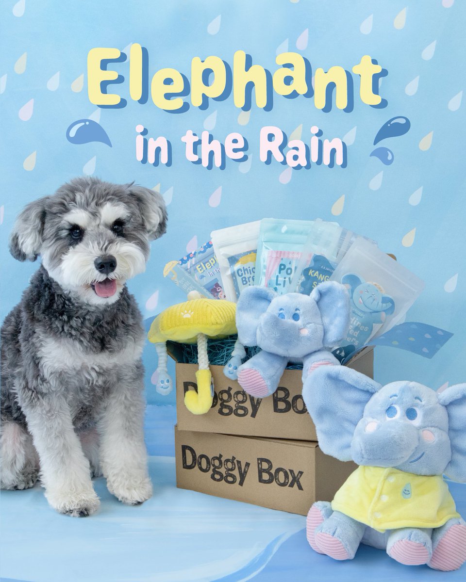 未使用 DoggyBox 雪だるま等 おもちゃまとめ売り 10個 ドギーボックス Doggy Box(ドギーボックス) (@doggybox_jp) / Posts / X