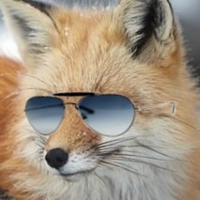 THawkMedia's tweet photo. James McCloud be like

"Oh dang, im about to die, better look cool while doing it" https://t.co/g6Rgt37mSL