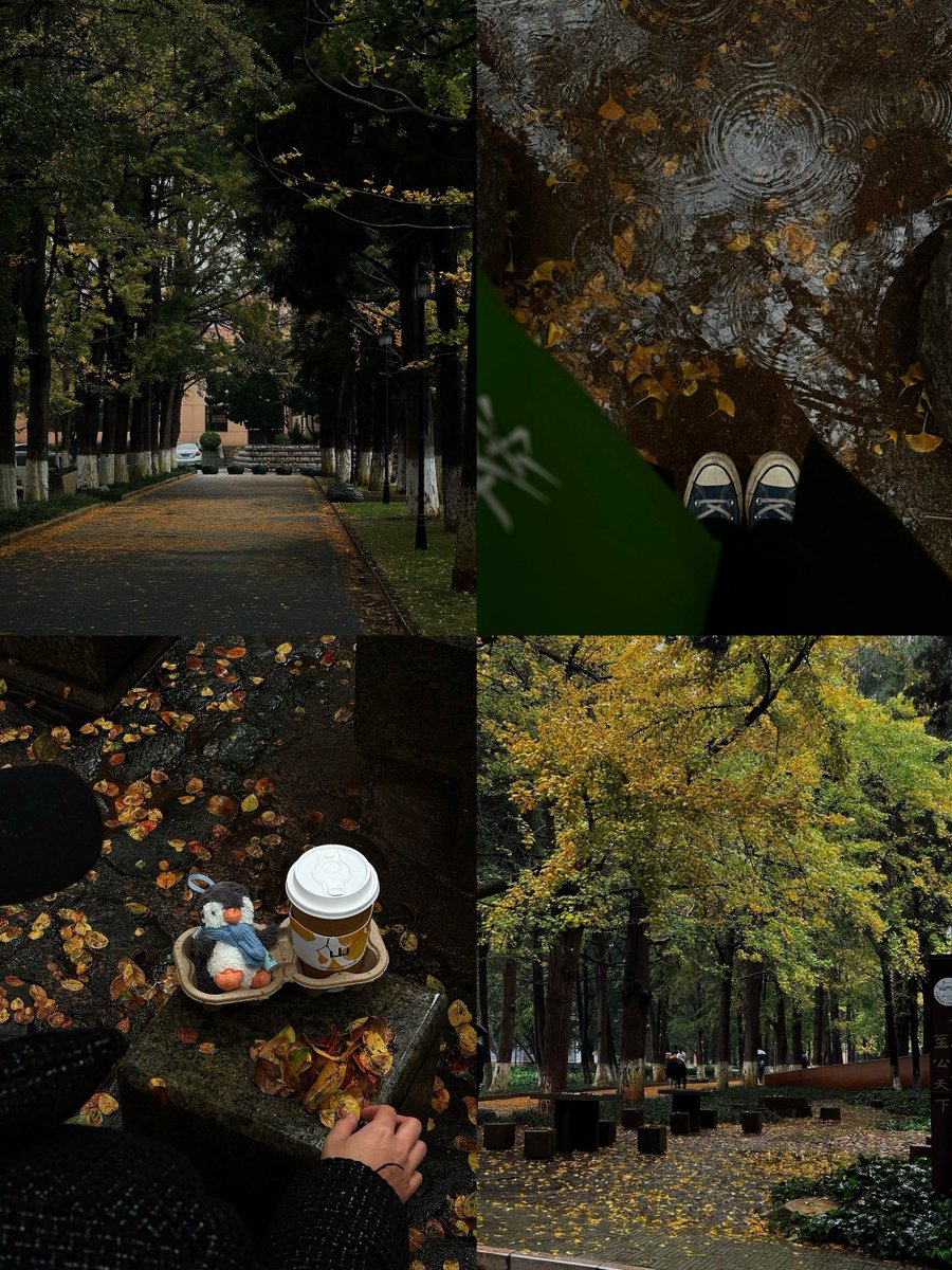 Teecat100's tweet photo. Just had the best casual chat with an old friend that turned a dull rainy day into something warm — little moments like these hit different https://t.co/I6mZDsFI99