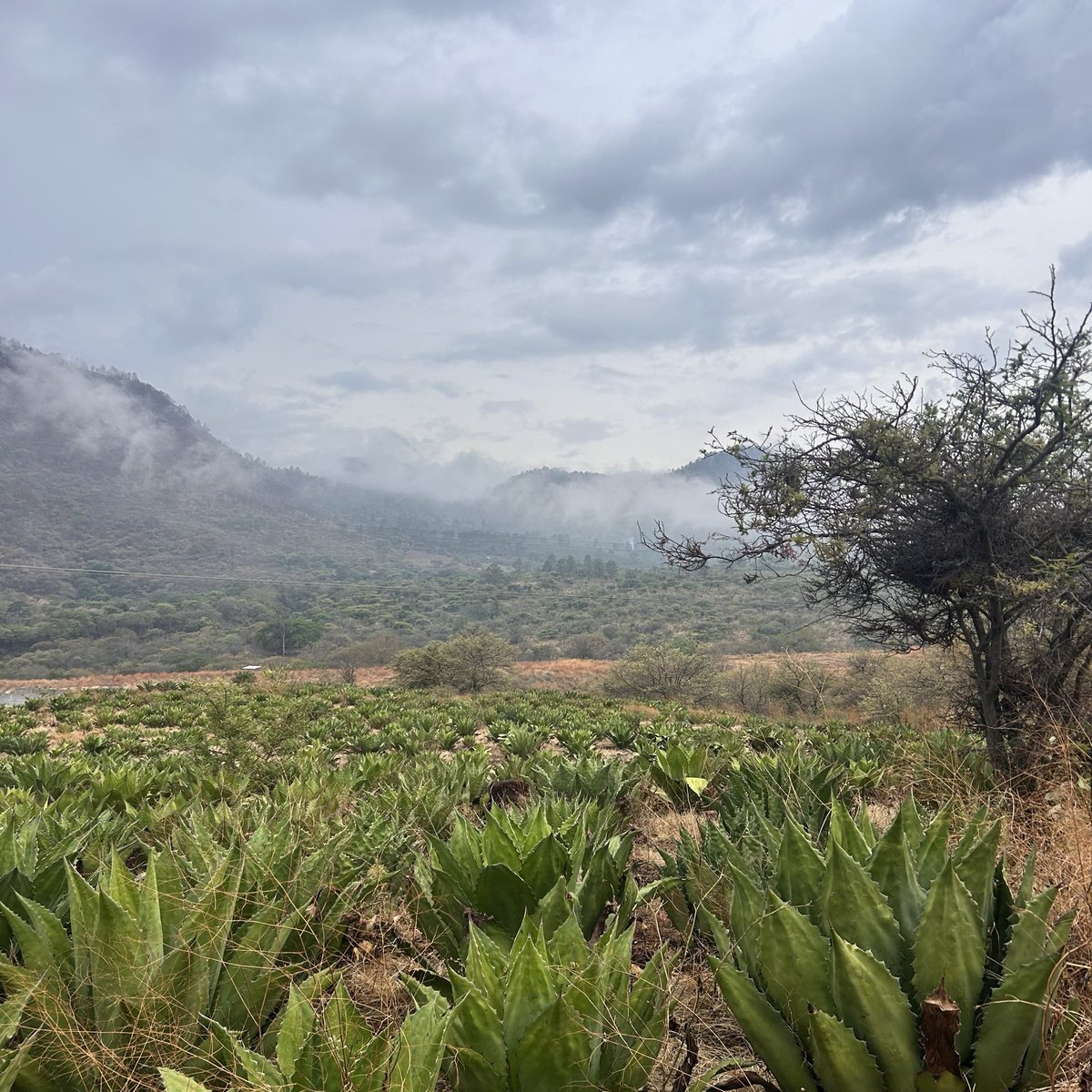 cesmiec's tweet photo. ⛰️🏞️ https://t.co/LNvISXaXz1